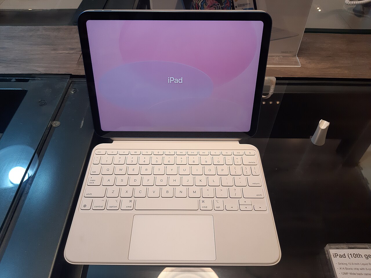 iPad (10th generation)